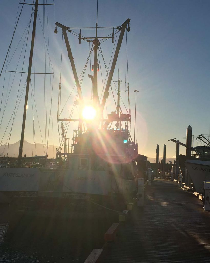 About South Central Radar, Premier Marine Electronics in Homer, Alaska